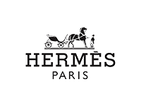 hermes logo icon