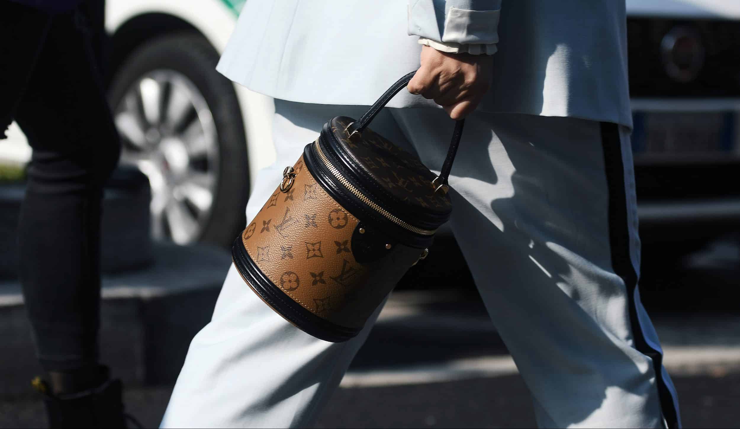 Read more about the article What are Louis Vuitton Leathers and How to Protect Them