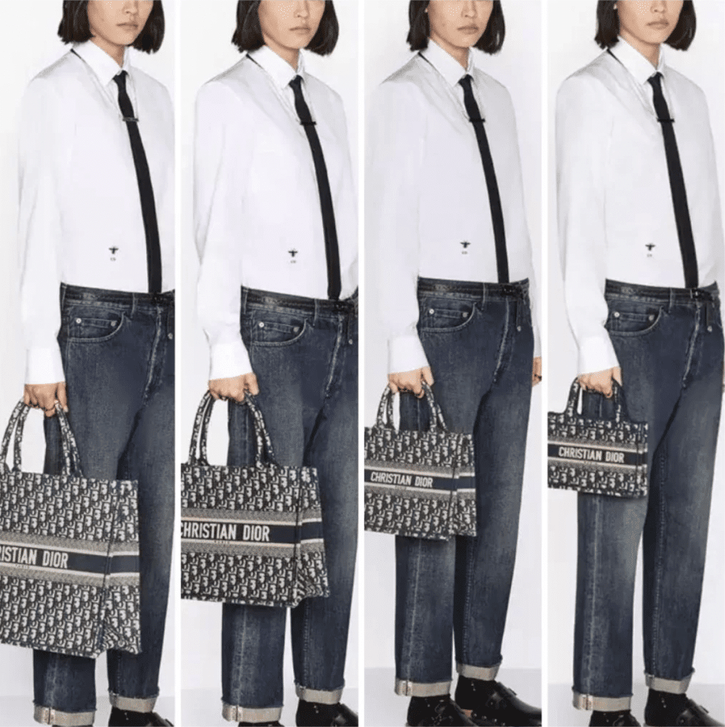 dior book tote sizes