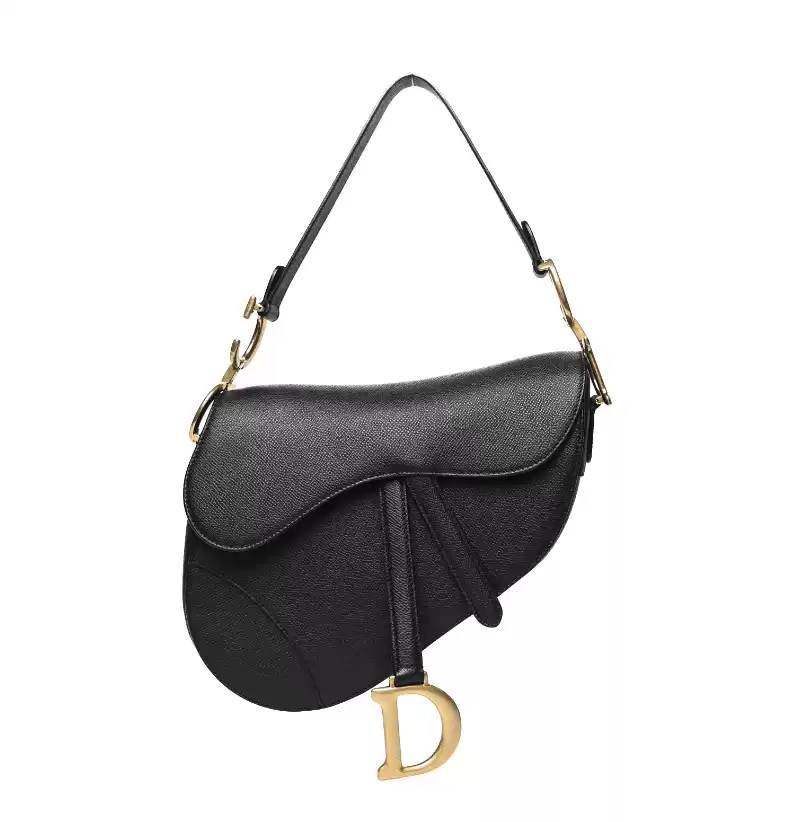 Dior Saddle Bag