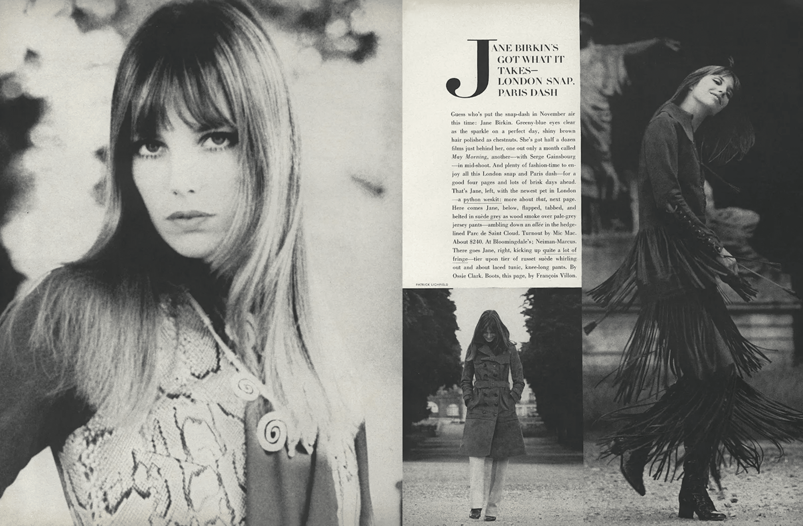 jane birkin